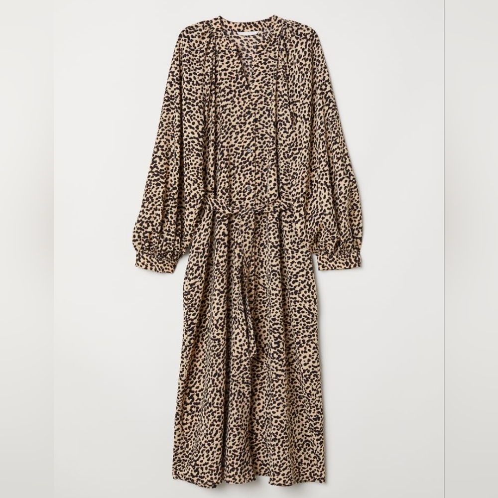 H&M Animal Print Balloon-sleeved Dress